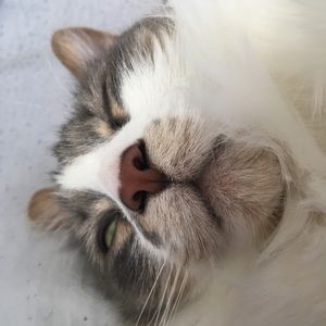 Meet your Posher, Hailey